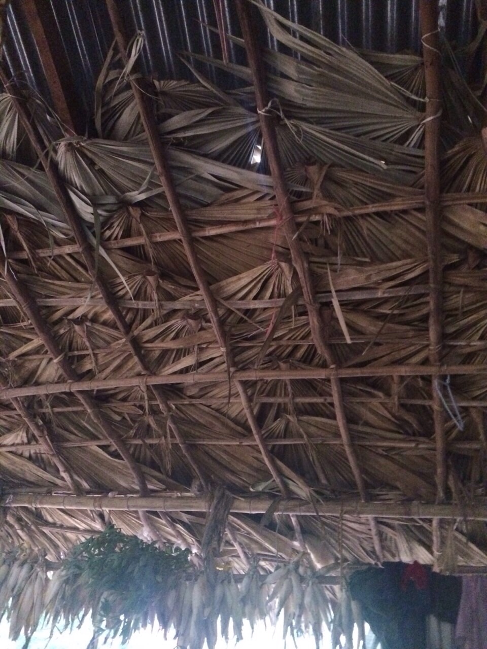 ヤシの葉でつくられた屋根